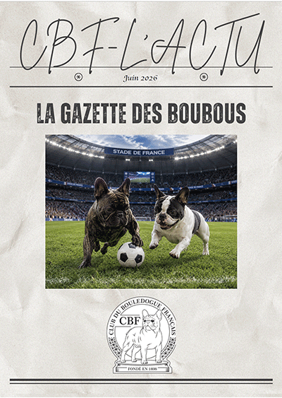 CBF L'actu du CBF au format PDF