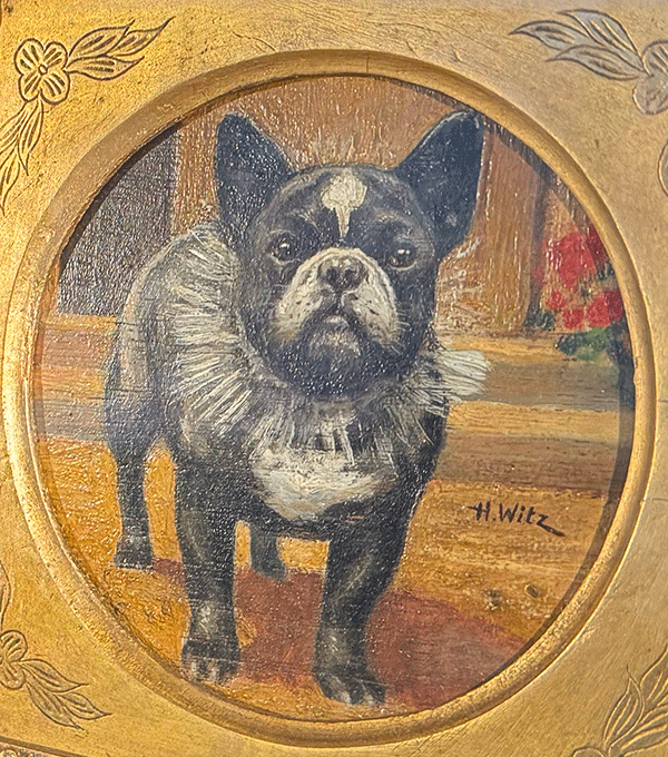 Bouledogue français portant un collier en poil de blaireau