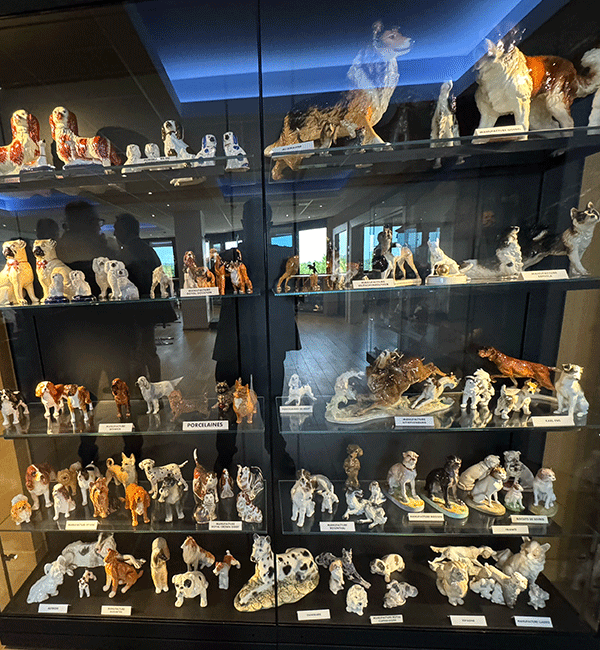 La collection de faïences du Musée