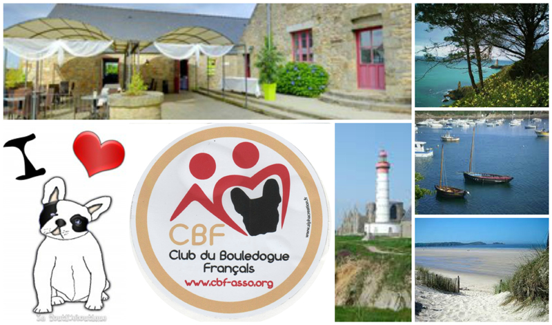 Journ&eacute;e amicale du CBF &agrave; Br&eacute;l&egrave;s (Finist&egrave;re) le 6 juillet 2014