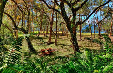 Sainte-Rose (La R&eacute;union)