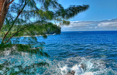 Bord de mer. Sainte-Rose (La R&eacute;union)
