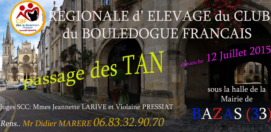 RE Bouledogue fran&ccedil;ais - Bazas - 12 juillet 2015