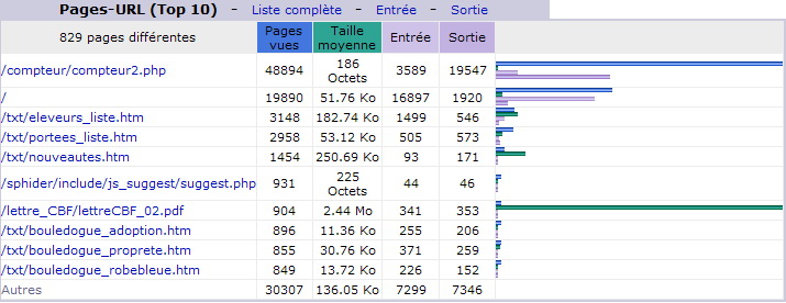Janvier 2013. Top 10 des Pages vues.
