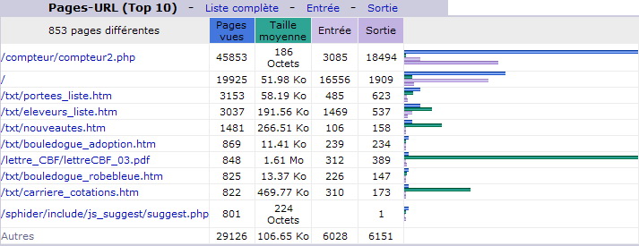 F&eacute;vrier 2013. Top 10 des Pages vues.